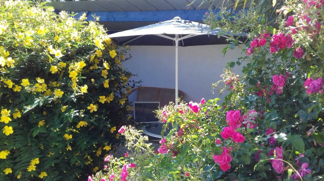 Le Petit Cottage Entre Village Et Mer Trelevern ภายนอก รูปภาพ