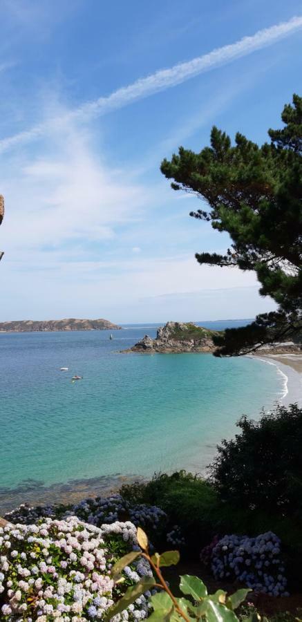 Le Petit Cottage Entre Village Et Mer Trelevern ภายนอก รูปภาพ