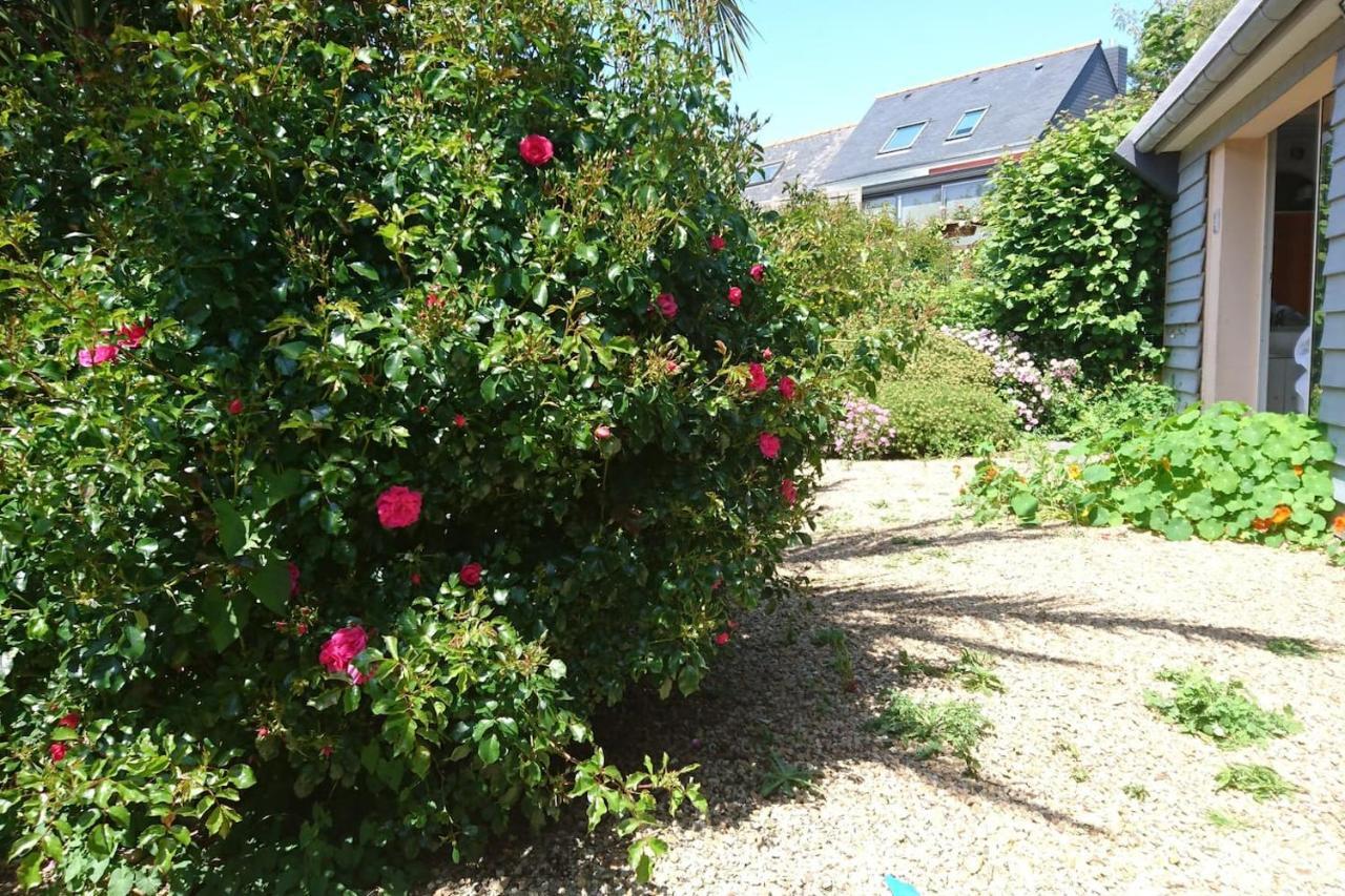 Le Petit Cottage Entre Village Et Mer Trelevern ภายนอก รูปภาพ